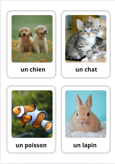 Cartes d'apprentissage : LES ANIMAUX