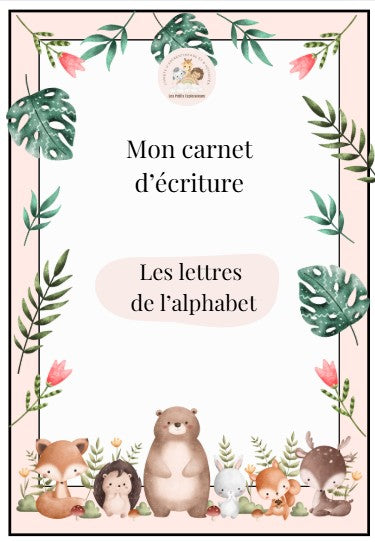 Cartes d'apprentissage : JE TRACE LES LETTRES
